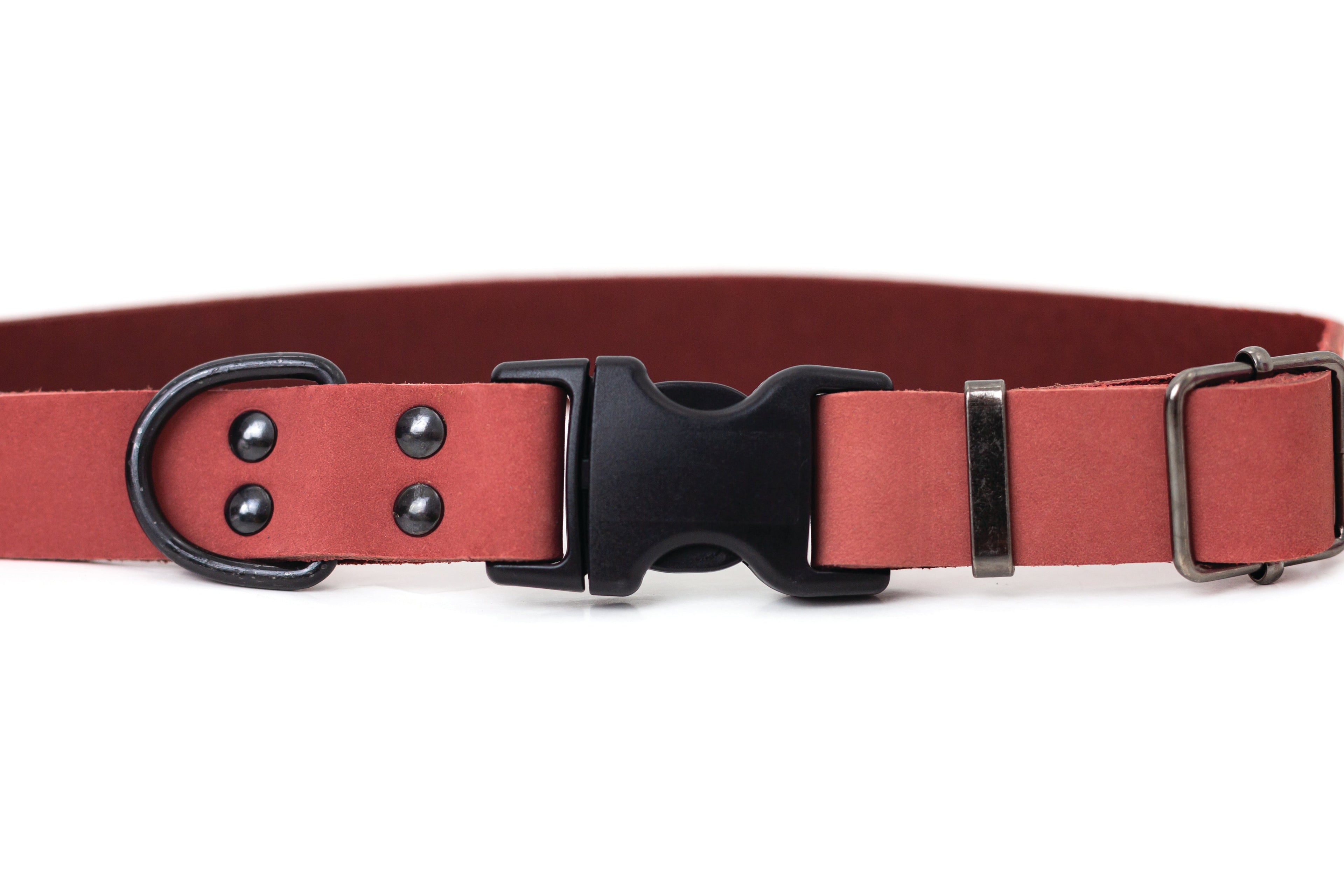 Sport Style Coral Reef Leather Dog Collar by Euro-Dog Collars and Leads
