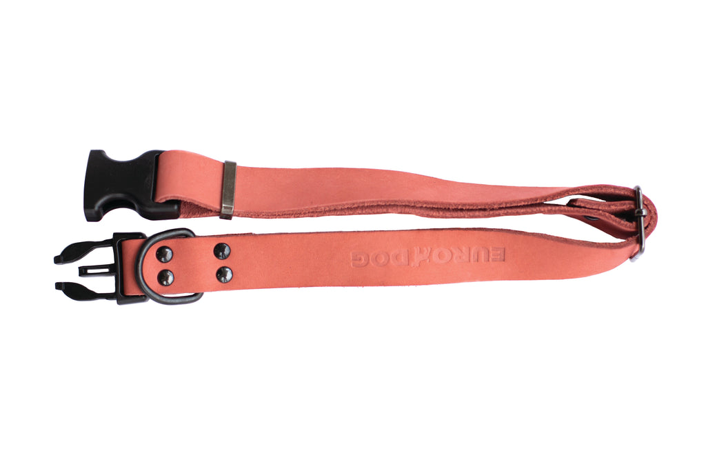 Sport Style Coral Reef Leather Dog Collar by Euro-Dog Collars and Leads
