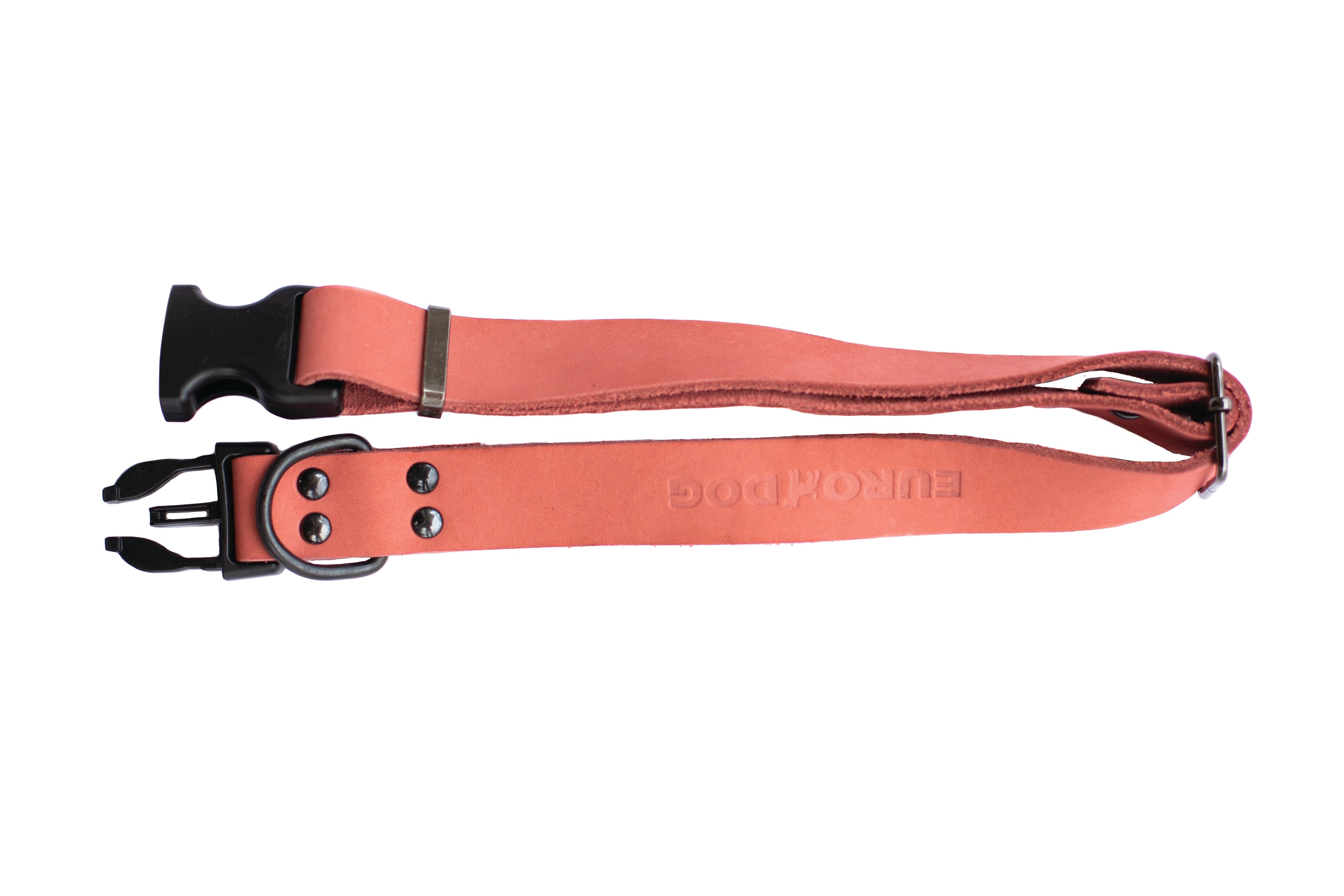 Sport Style Coral Reef Leather Dog Collar by Euro-Dog Collars and Leads