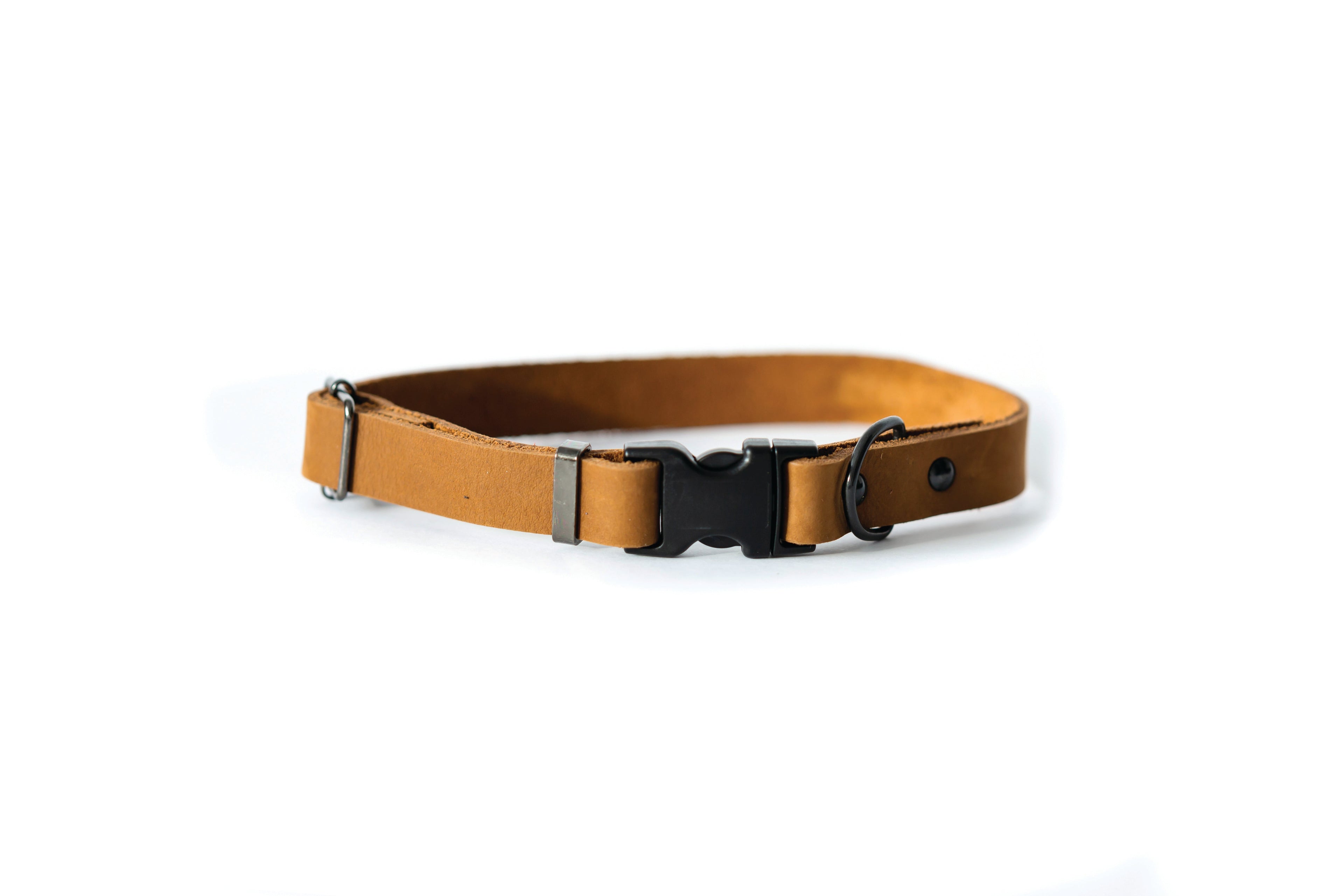 Sport Style Earth Brown Leather Dog Collar by Euro-Dog Collars and Leads