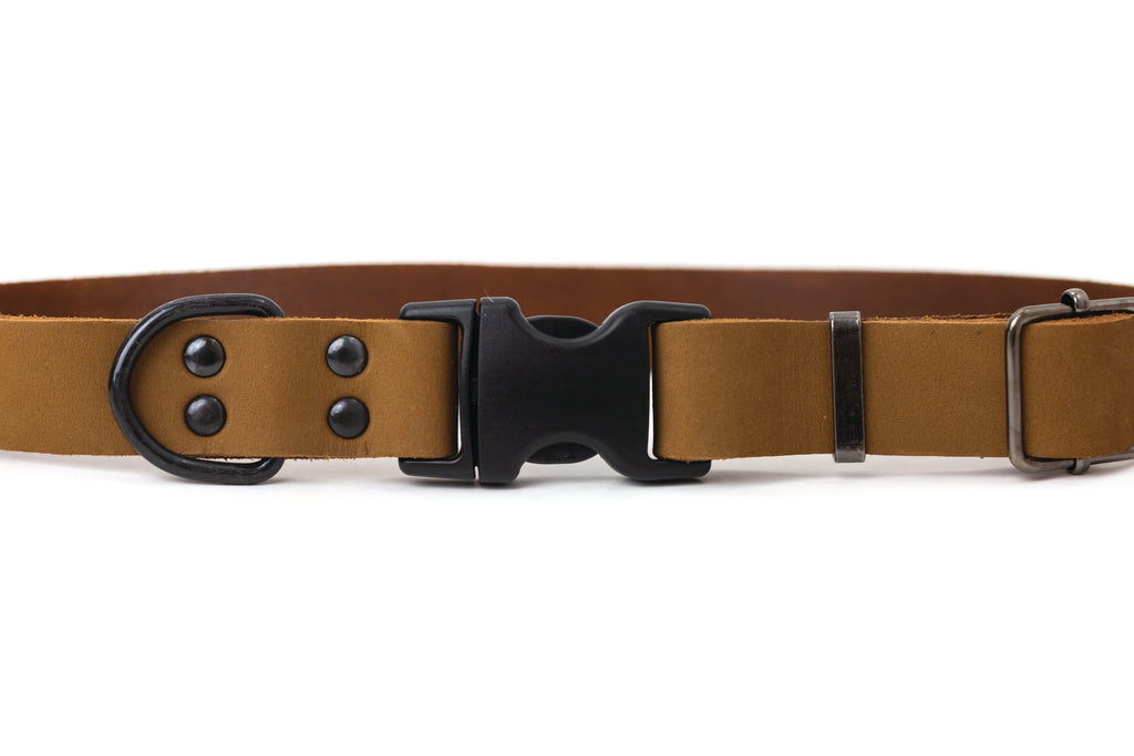 Sport Style Earth Brown Leather Dog Collar by Euro-Dog Collars and Leads