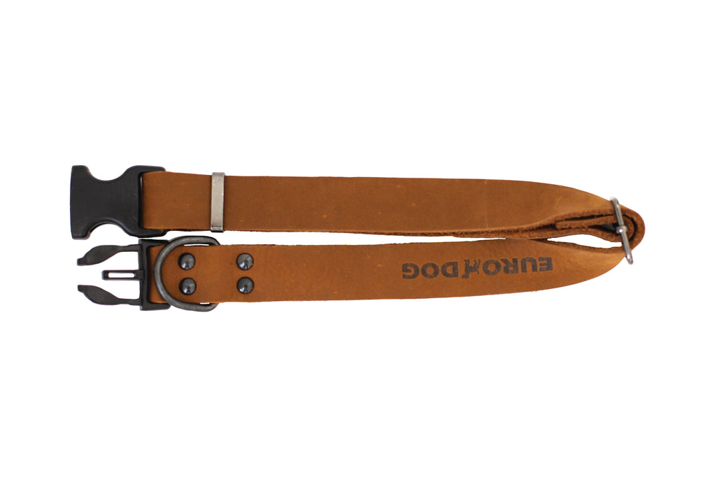 Sport Style Earth Brown Leather Dog Collar by Euro-Dog Collars and Leads