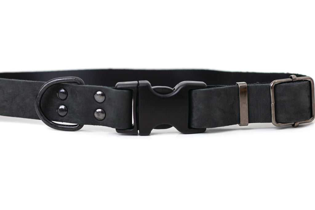Sport Style Midnight Black Leather Dog Collar by Euro-Dog Collars and Leads