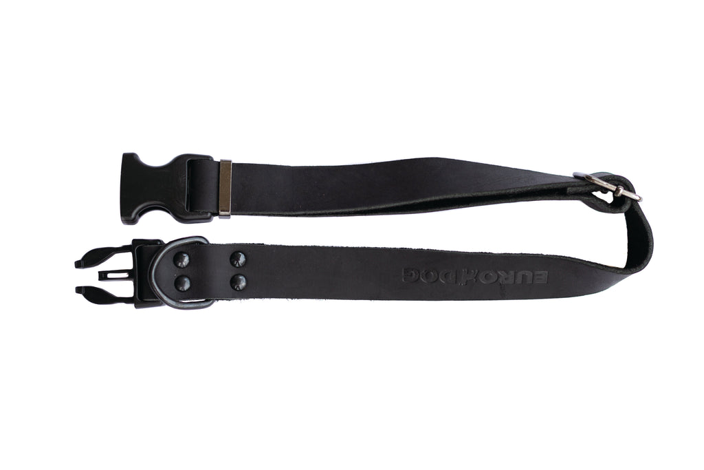 Sport Style Midnight Black Leather Dog Collar by Euro-Dog Collars and Leads
