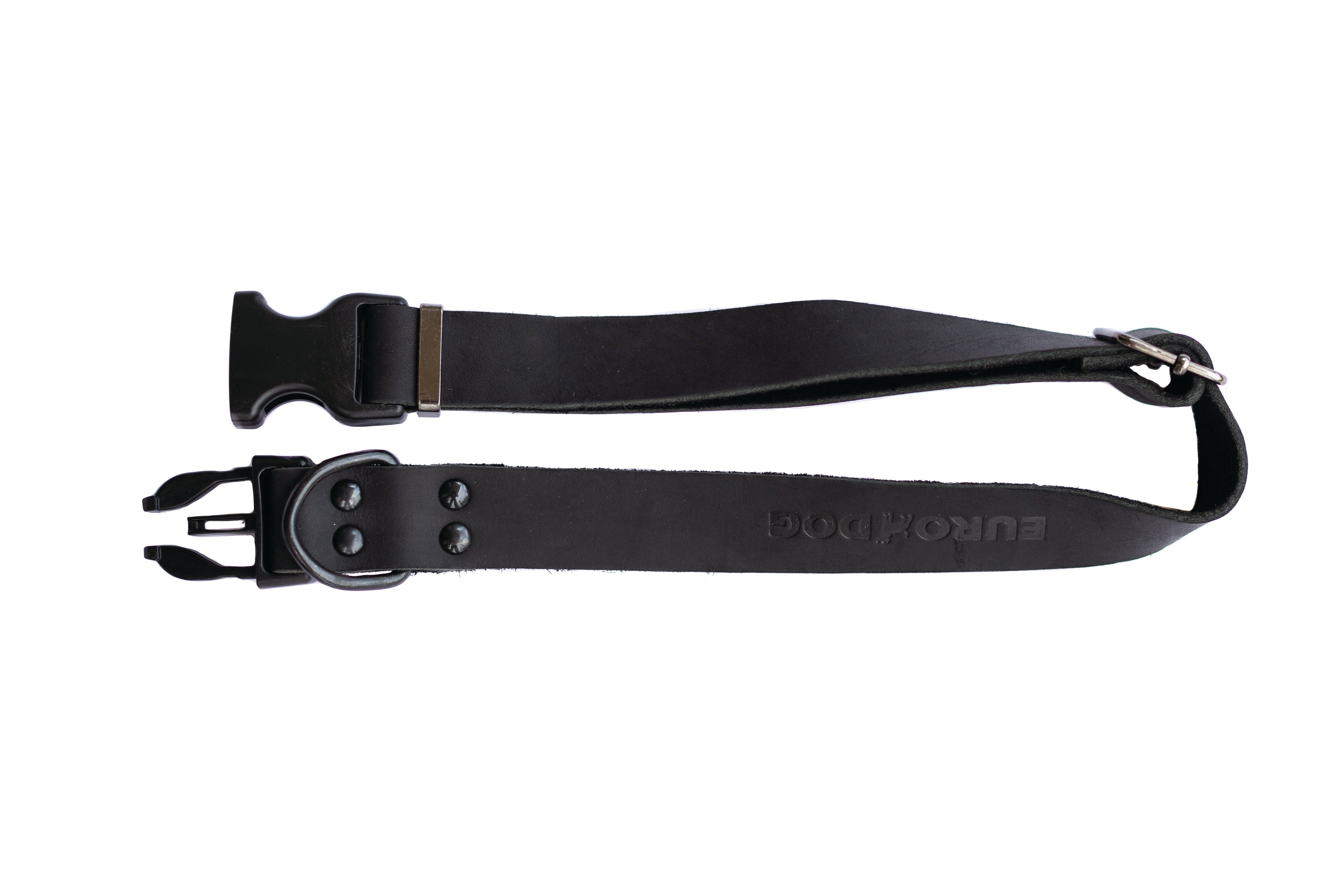 Sport Style Midnight Black Leather Dog Collar by Euro-Dog Collars and Leads