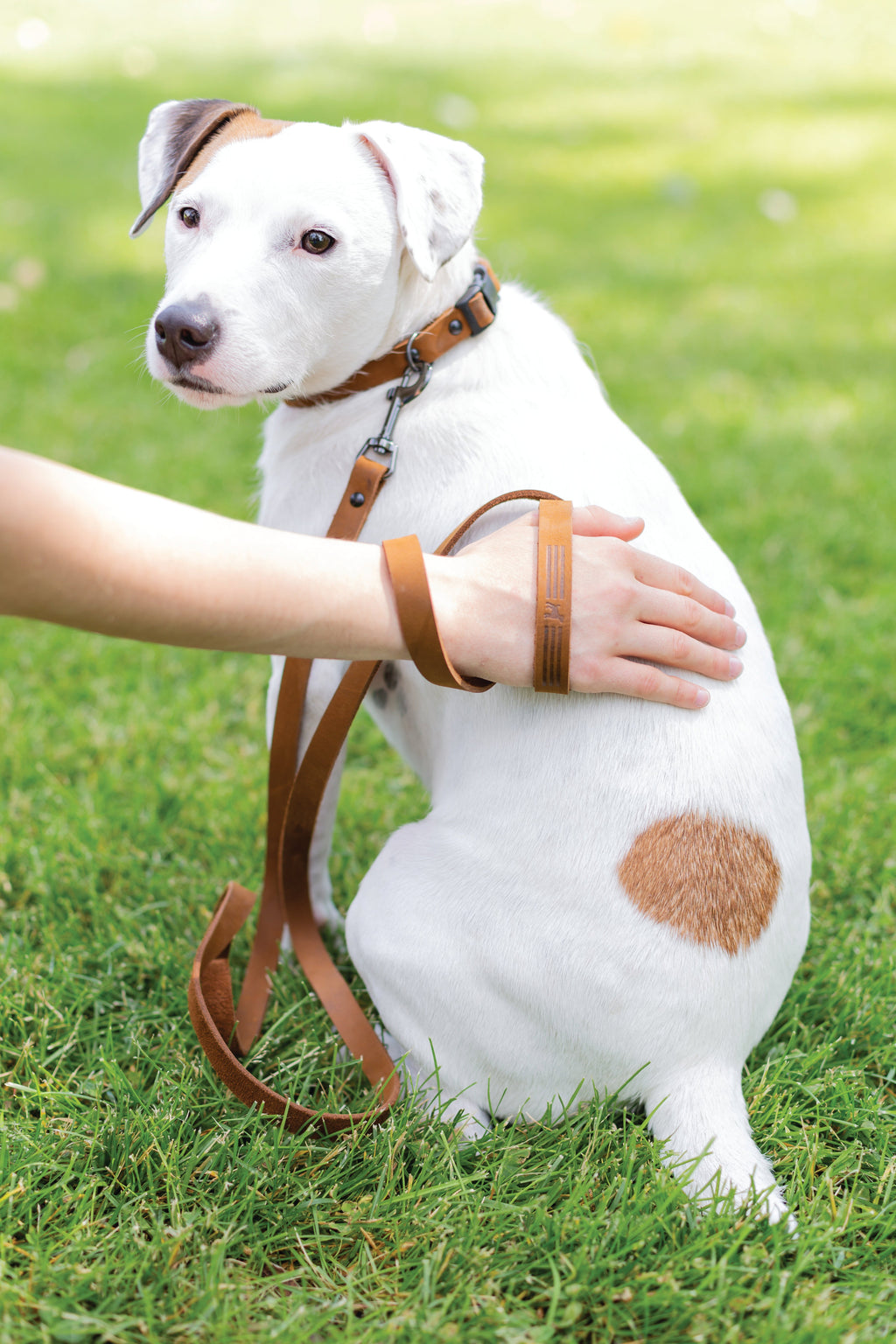 Sport Style Earth Brown Leather Leash by Euro-Dog Collars and Leads