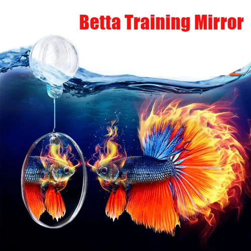 Betta Training Mirror Fish Tank Ornament by Love My Pet