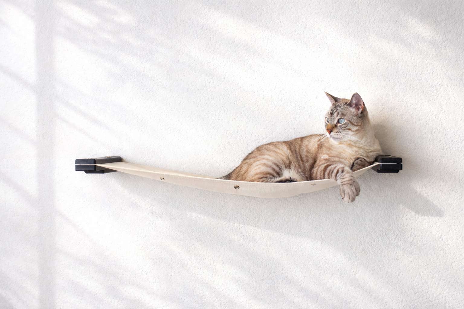 Hanging Cat Bed Hammock by Catastrophic Creations