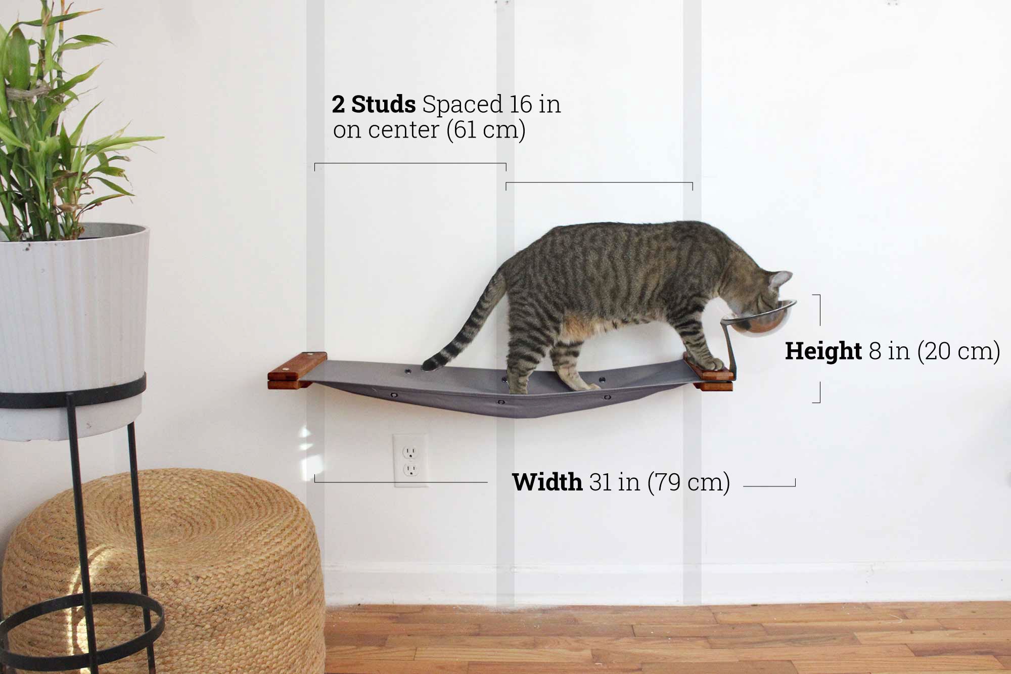 Dog Proof Cat Feeder - Wall-Mounted - Raised by Catastrophic Creations