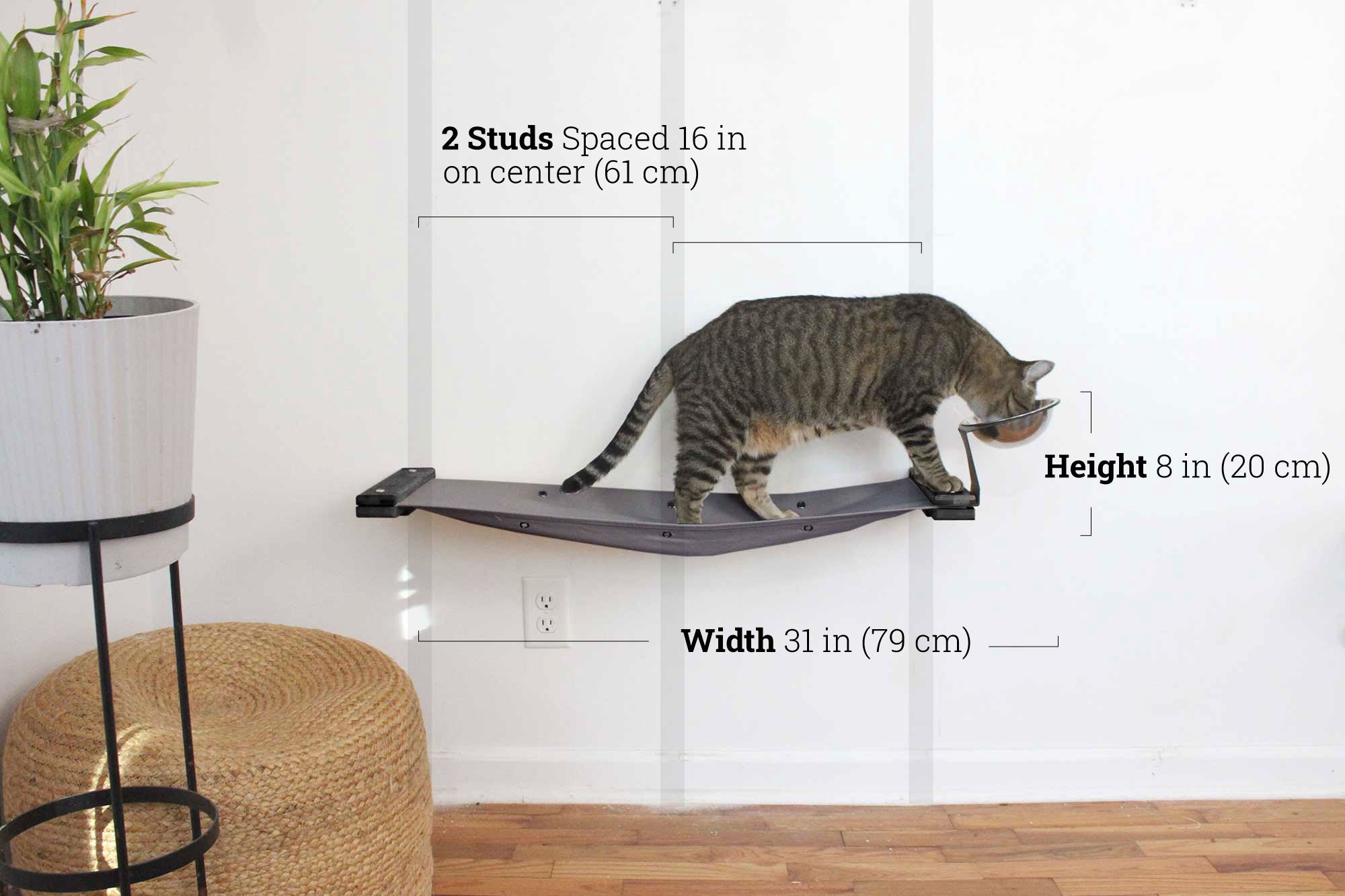 Dog Proof Cat Feeder - Wall-Mounted - Raised by Catastrophic Creations