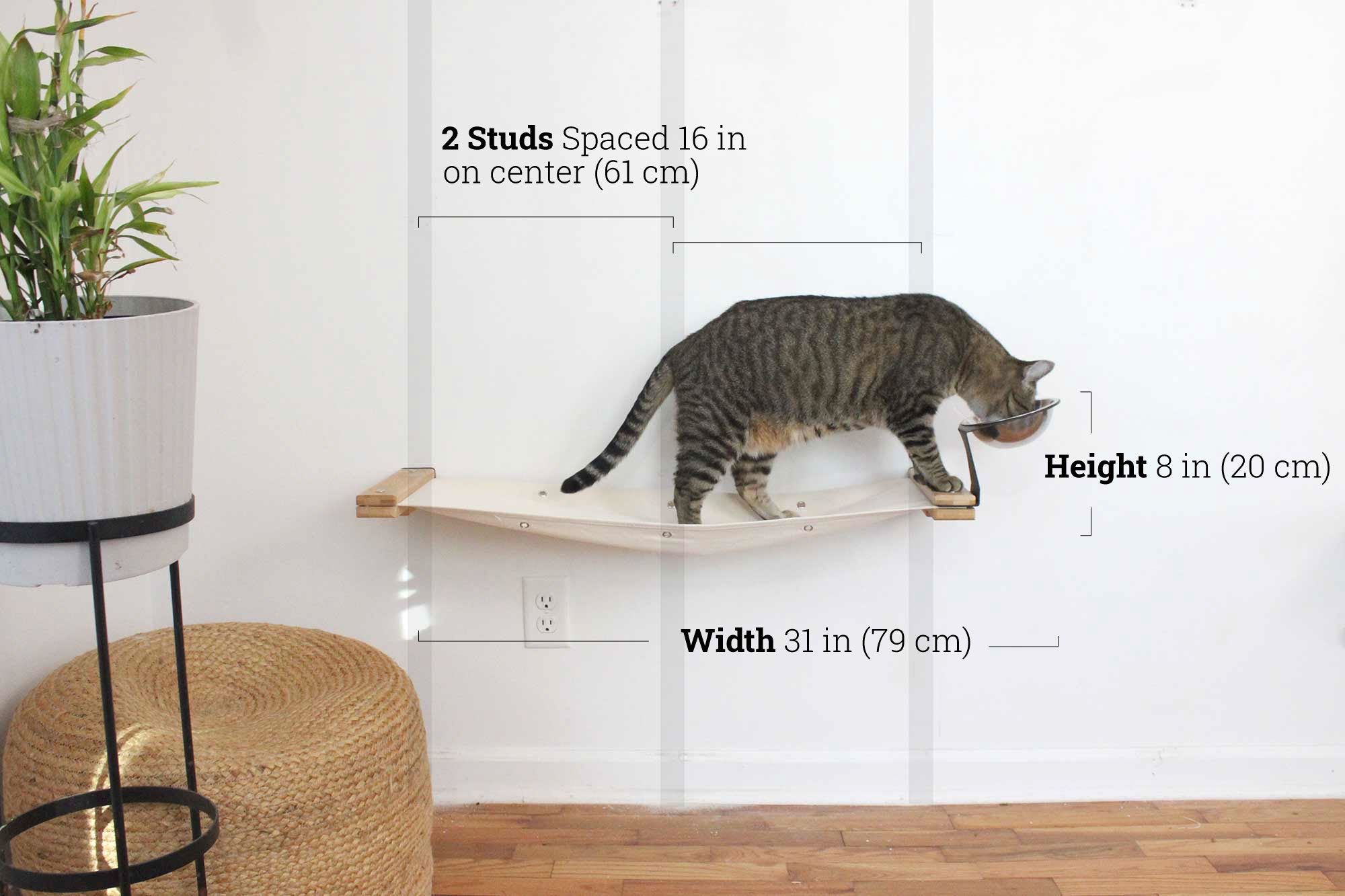 Dog Proof Cat Feeder - Wall-Mounted - Raised by Catastrophic Creations