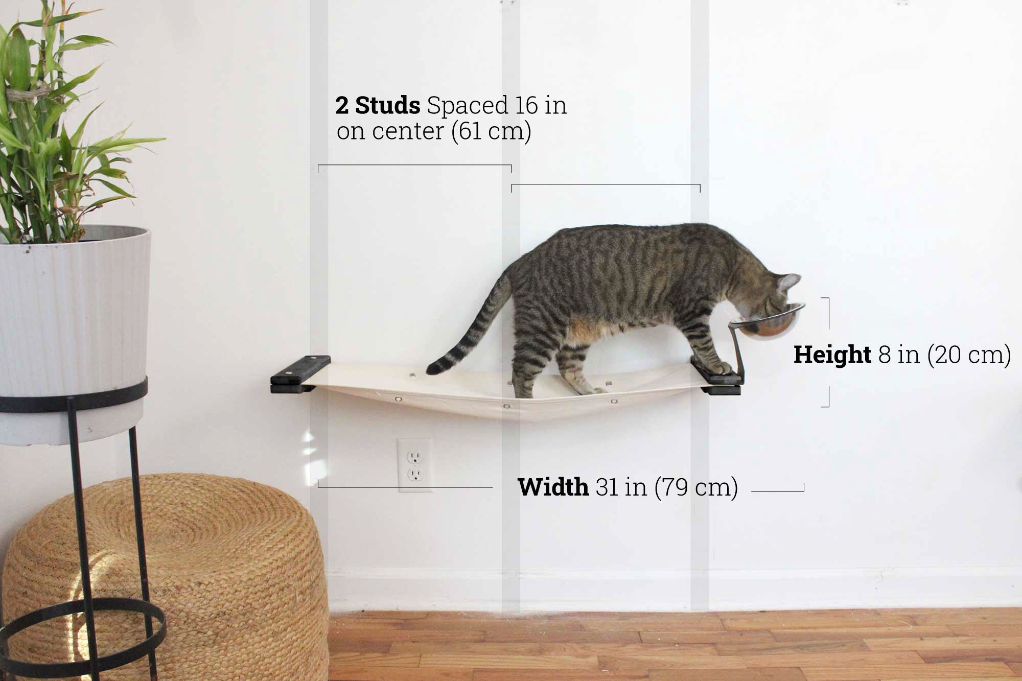 Dog Proof Cat Feeder - Wall-Mounted - Raised by Catastrophic Creations