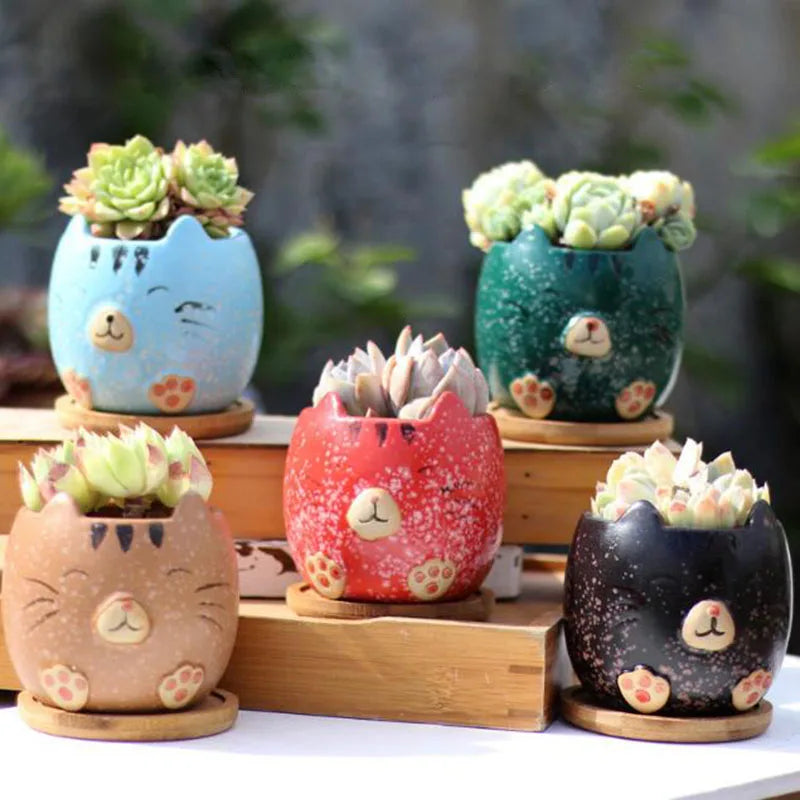 Cartoon Succulent Plant Pot Cat Animal Flowerpot4Pcs/Set by Love My Pet