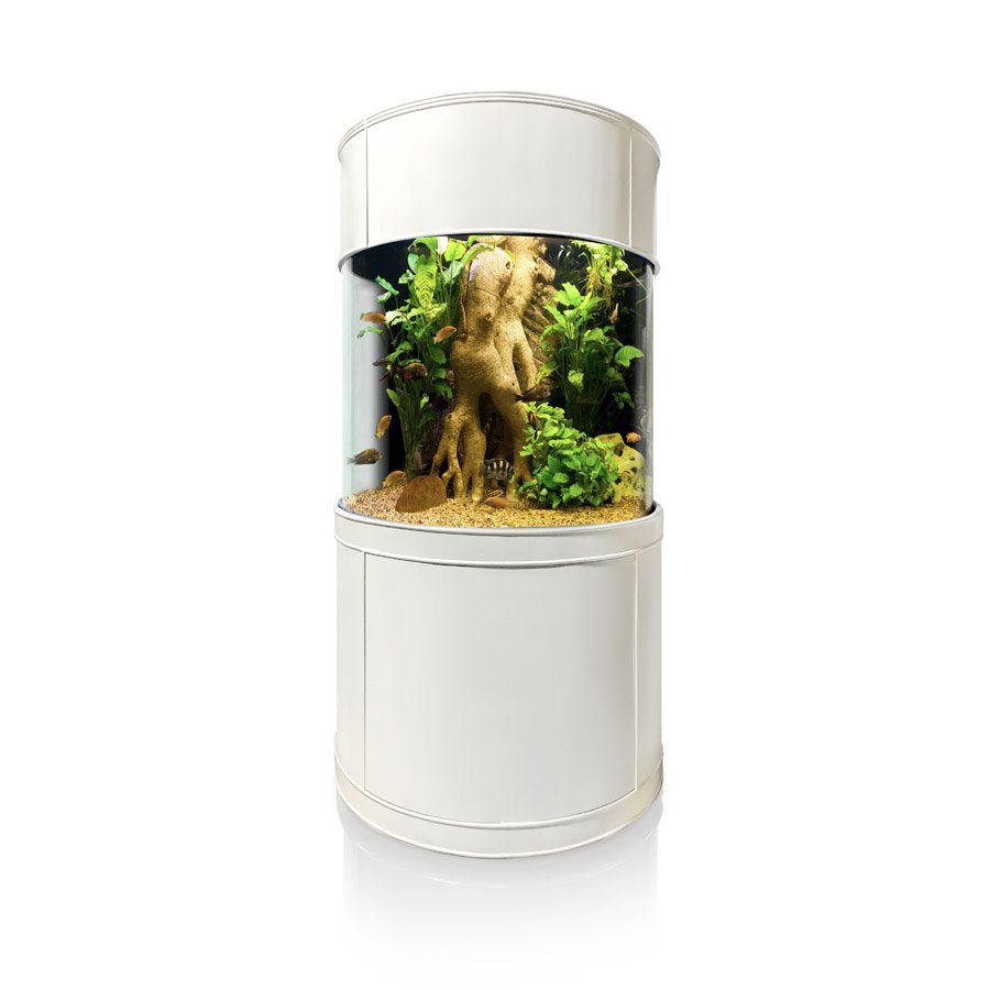 Glass 3/4 Cylinder by AQUA VIM