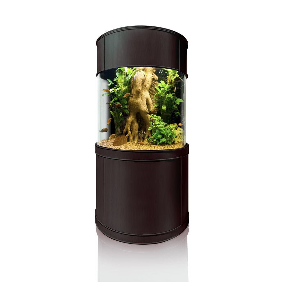 Glass 3/4 Cylinder by AQUA VIM