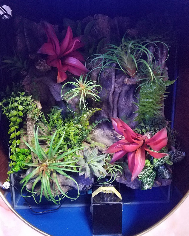 RARE AQUARIUM ITEM, CANYON VIEW EXTEND HALF CYLINDER 25 gallon. by Northeast Aquariums LLC