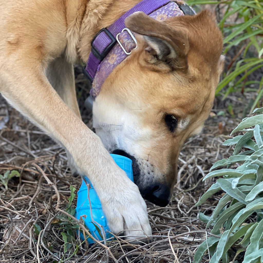Ice Cream Cone Rubber Dog Chew Toy for Power Chewers | USA Made | SodaPup by SodaPup/True Dogs, LLC