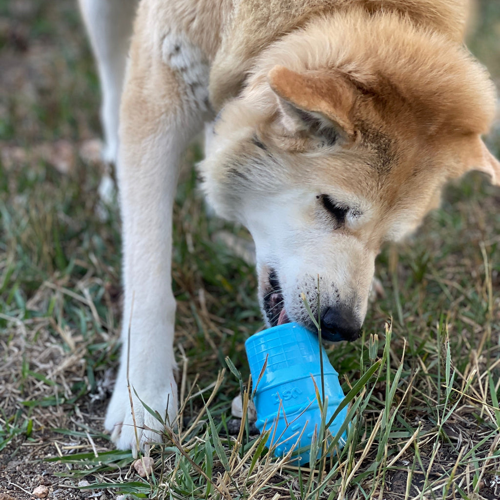 Ice Cream Cone Rubber Dog Chew Toy for Power Chewers | USA Made | SodaPup by SodaPup/True Dogs, LLC