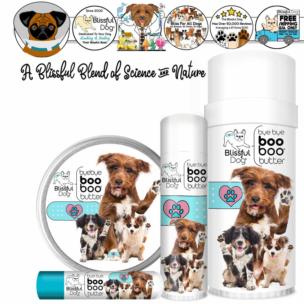 3 Cute Puppies Boo Boo Butter by The Blissful Dog