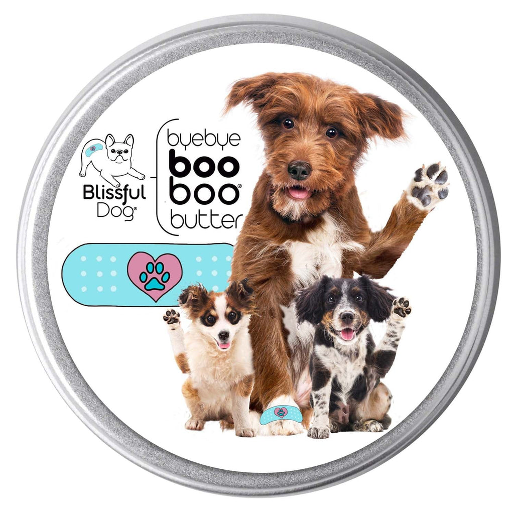 3 Cute Puppies Boo Boo Butter by The Blissful Dog