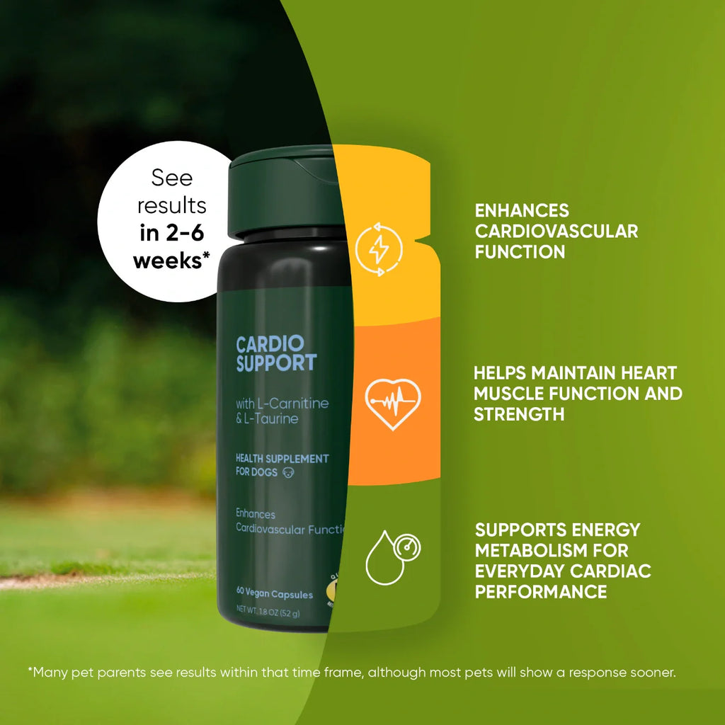 Cardio Support by Rooted Owl Pet Supplements