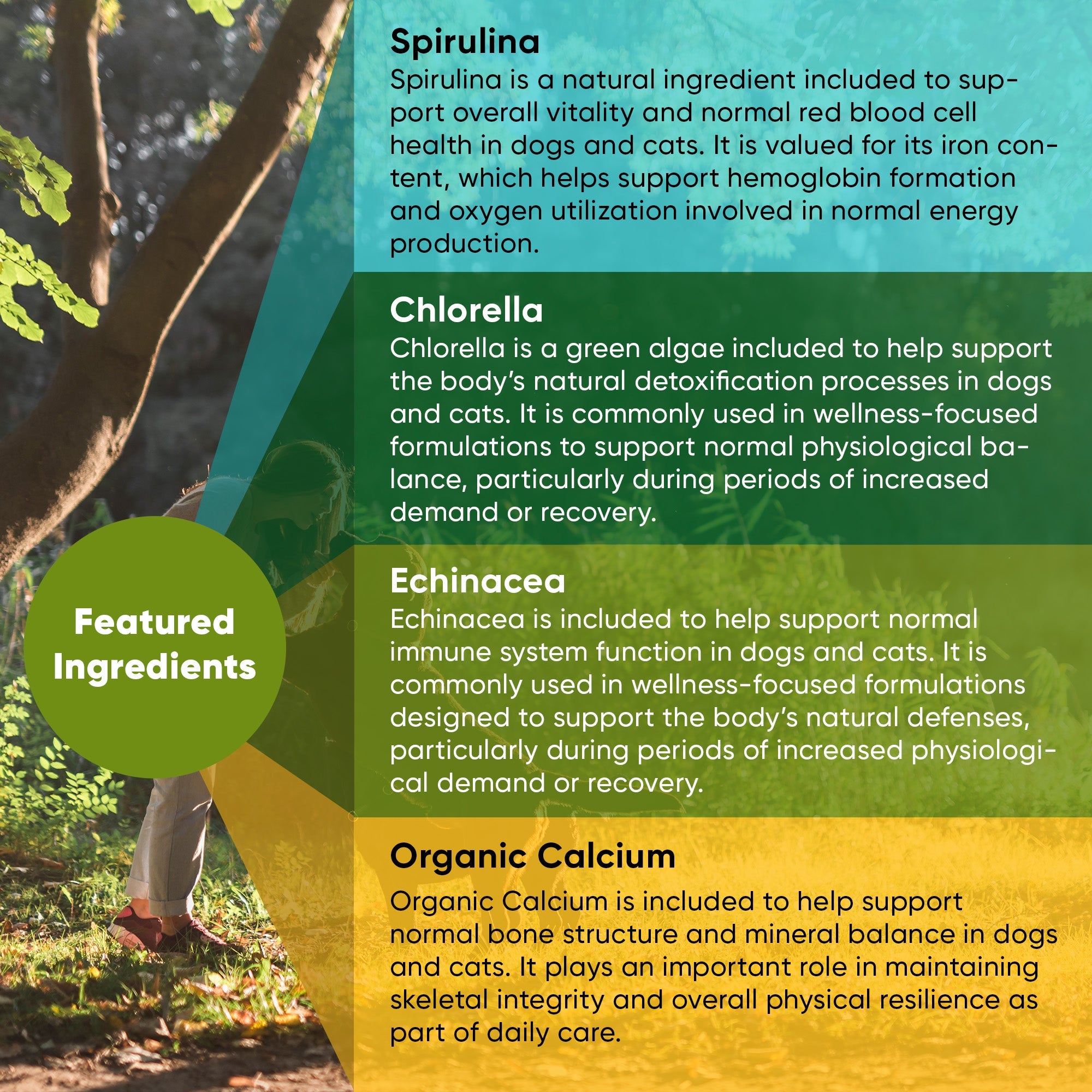 Spirulina & Chlorella by Rooted Owl Pet Supplements