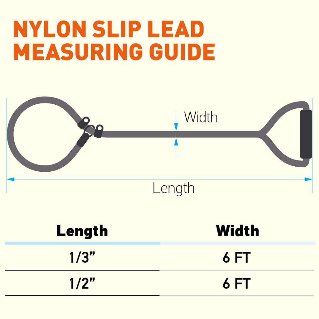 Round Nylon Slip Lead by Dogline