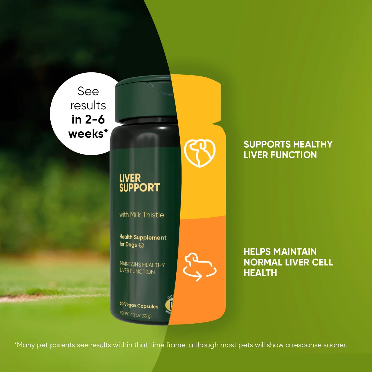 Liver Support by Rooted Owl Pet Supplements
