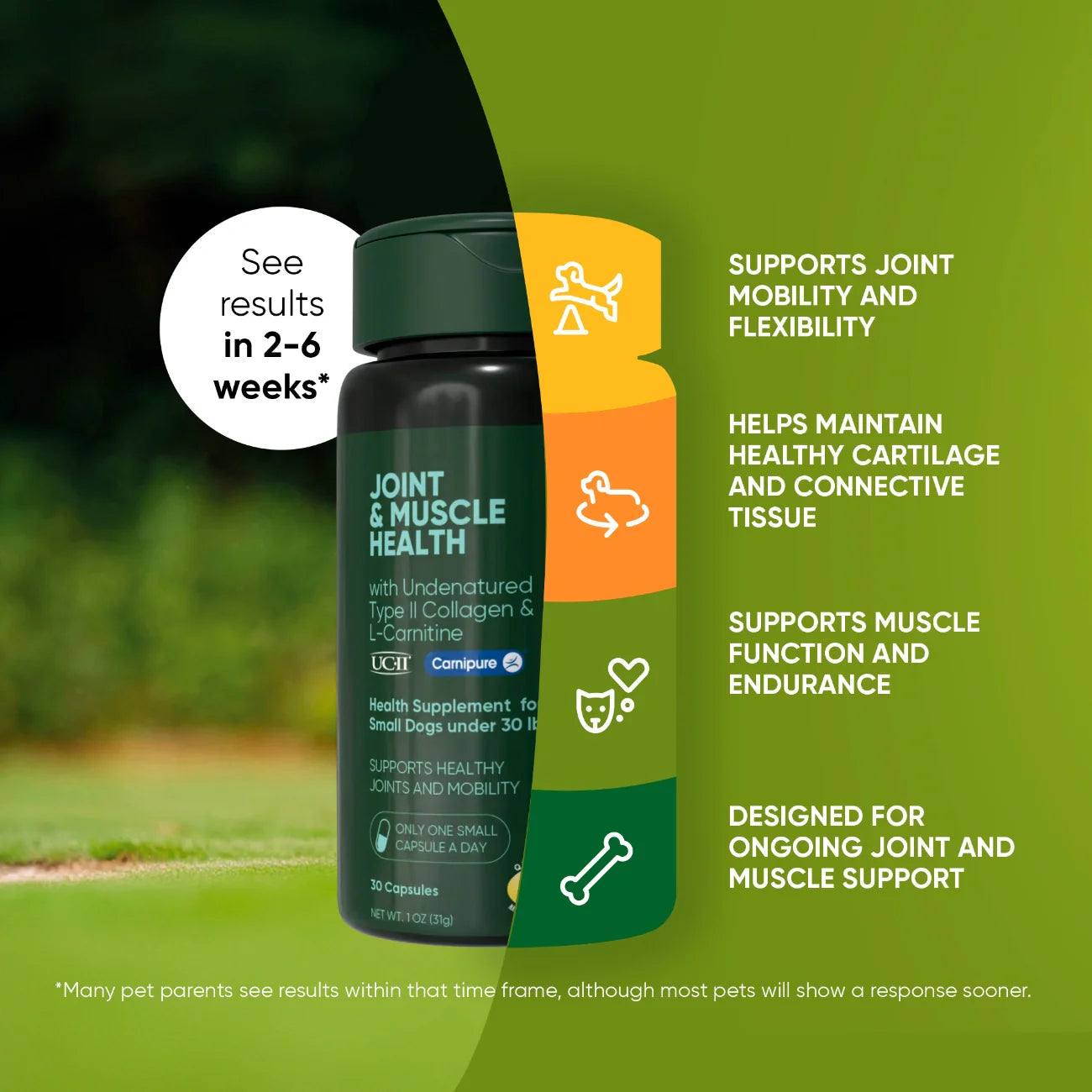 Joint & Muscle Health by Rooted Owl Pet Supplements