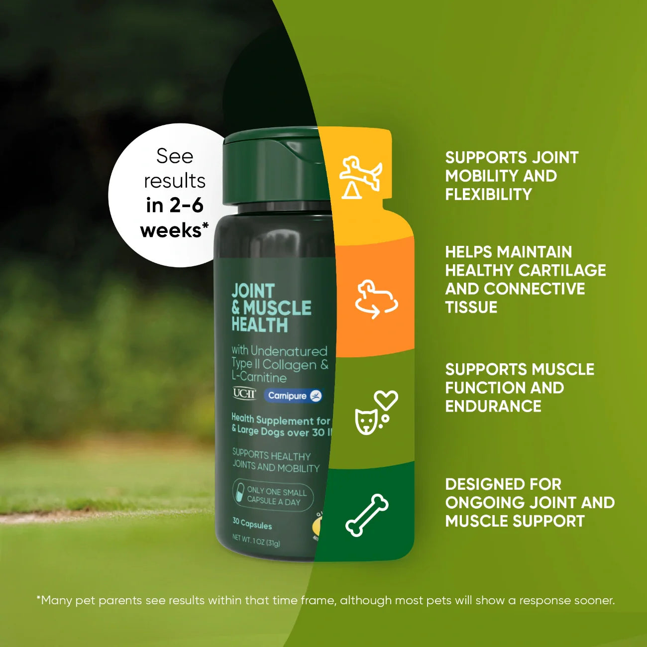 Joint & Muscle Health by Rooted Owl Pet Supplements