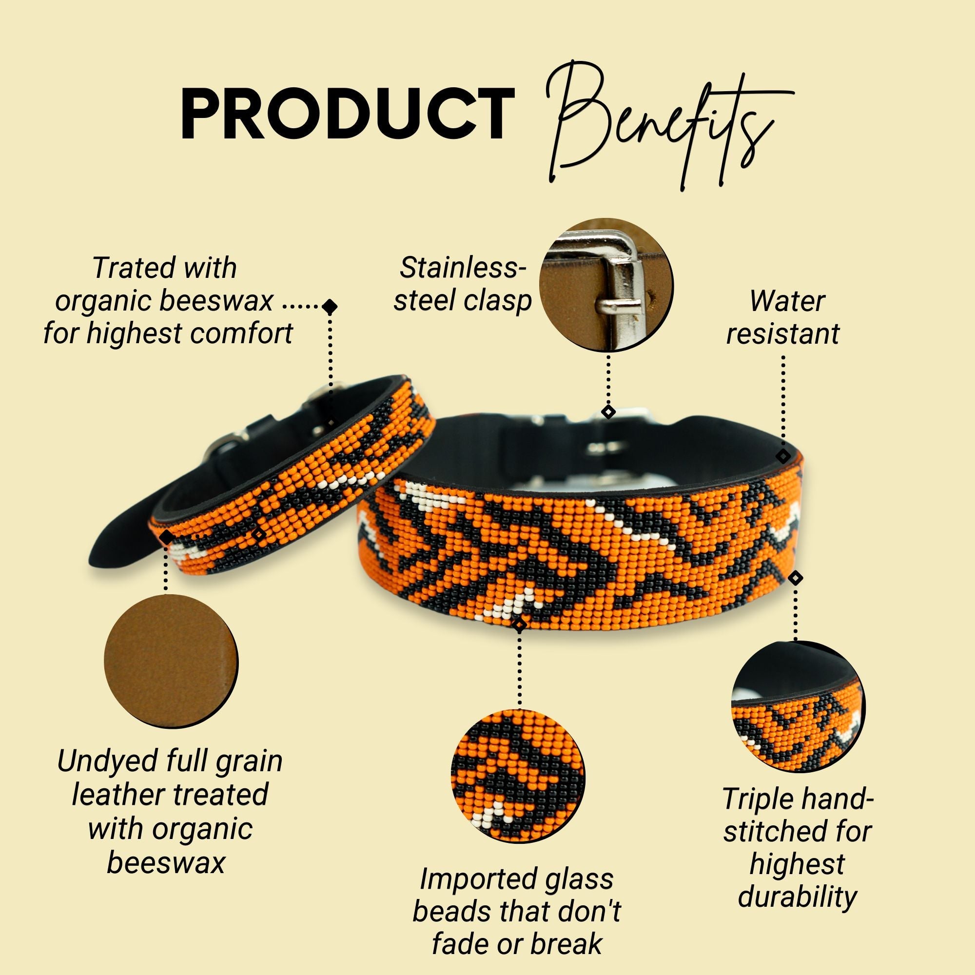 Tiger Sambboho dog collar (animal print collection) by Sambboho