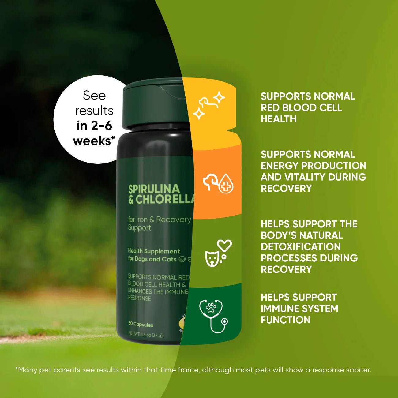 Spirulina & Chlorella by Rooted Owl Pet Supplements