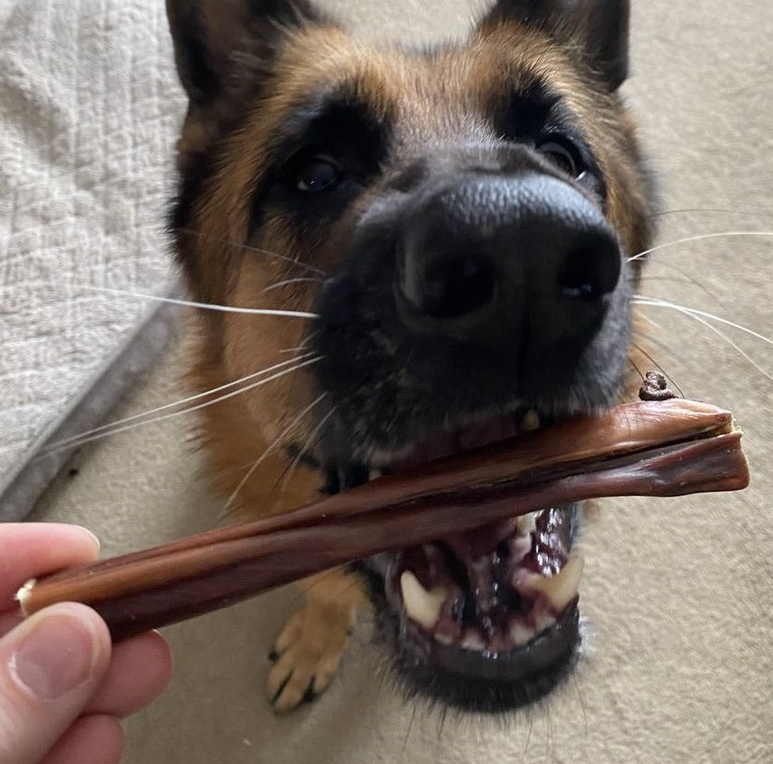 6 Inch Beef Jerky Stick by Bully Bunches