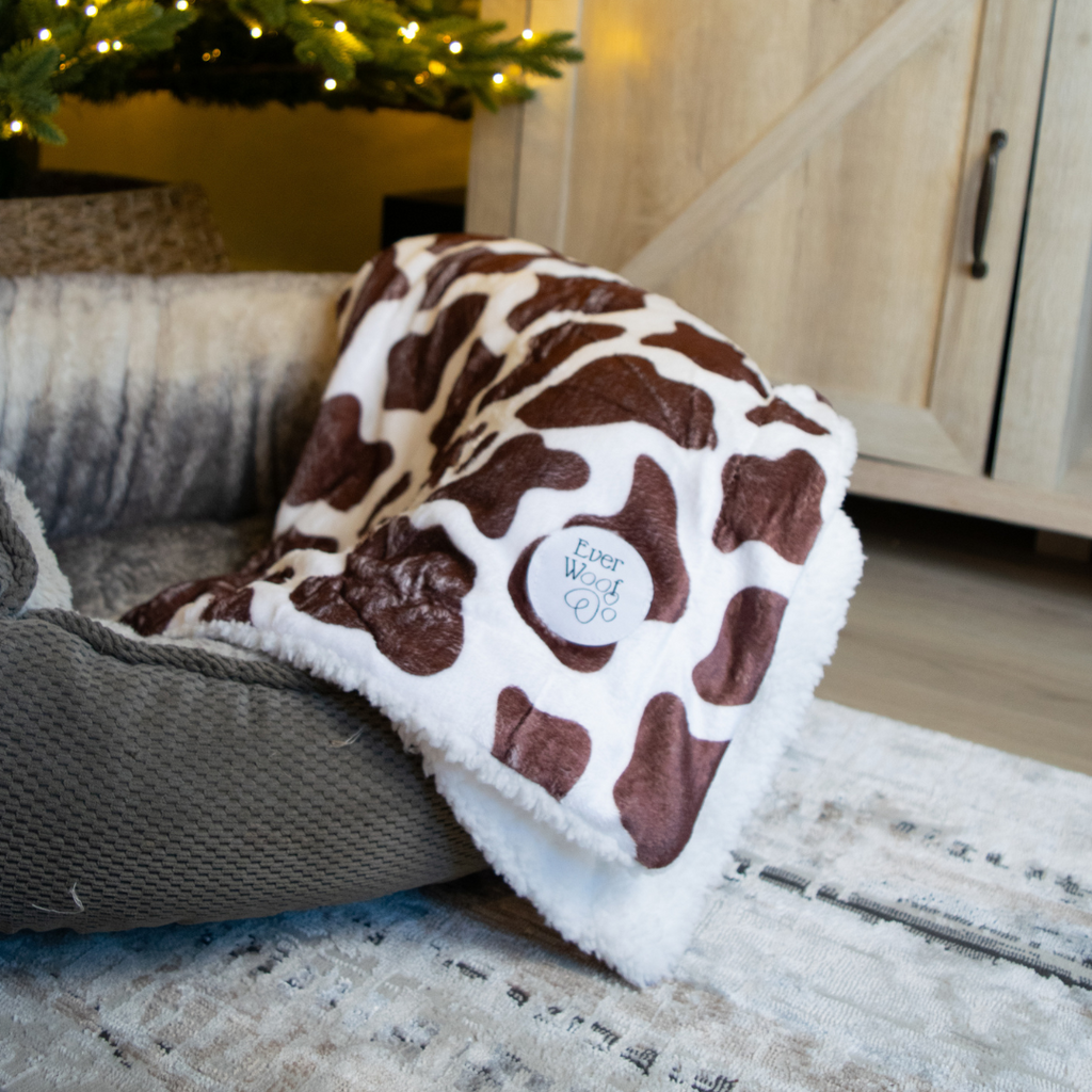 Chocolate Cow Dog Blanket by EverWoof