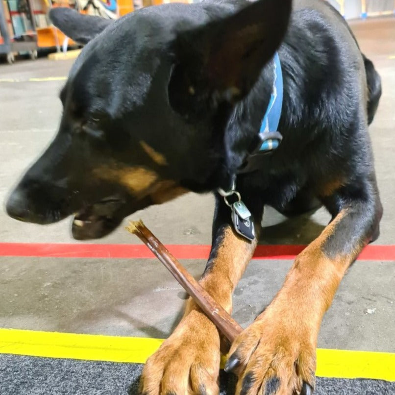 12 Inch Beef Jerky Stick by Bully Bunches