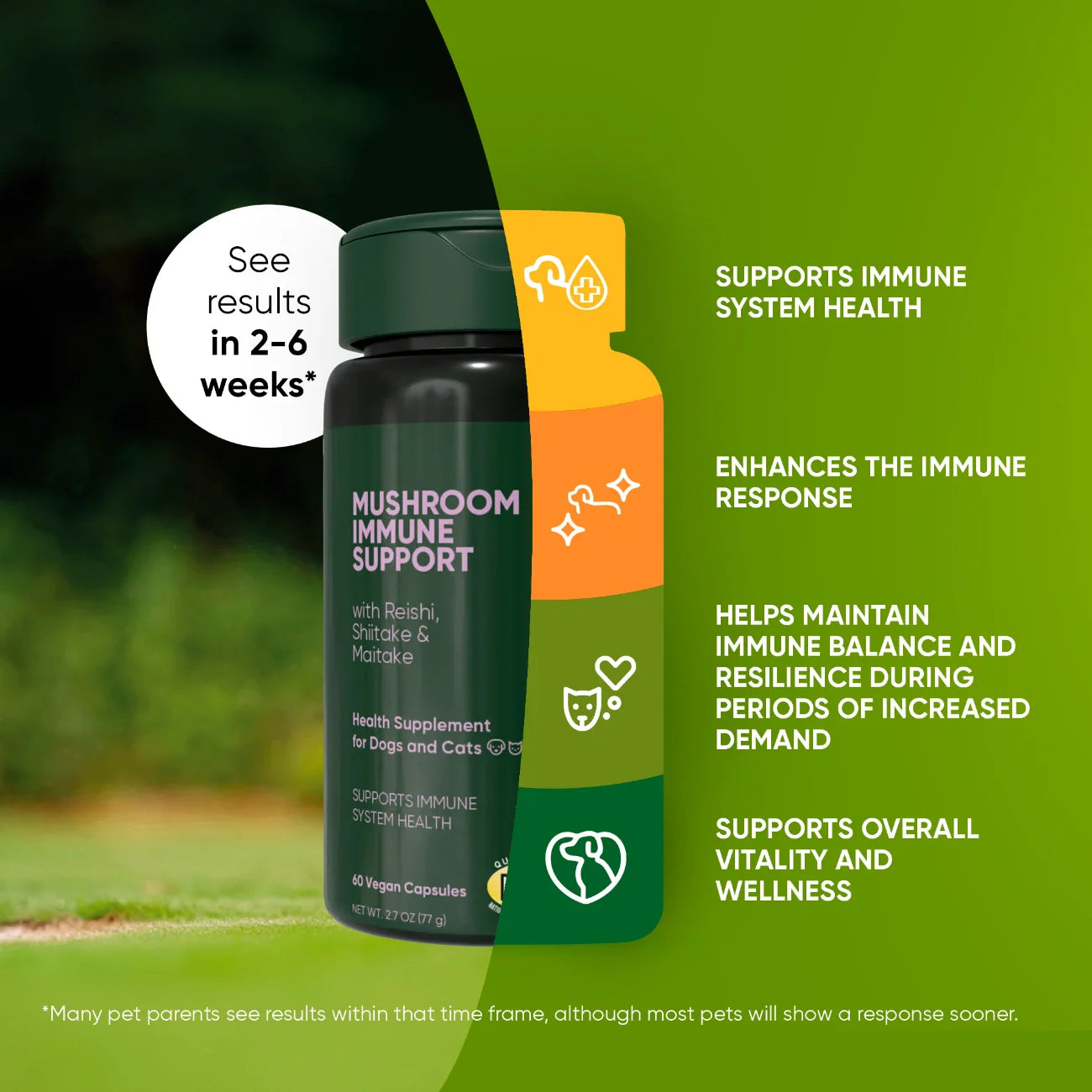 Mushroom Immune Support by Rooted Owl Pet Supplements