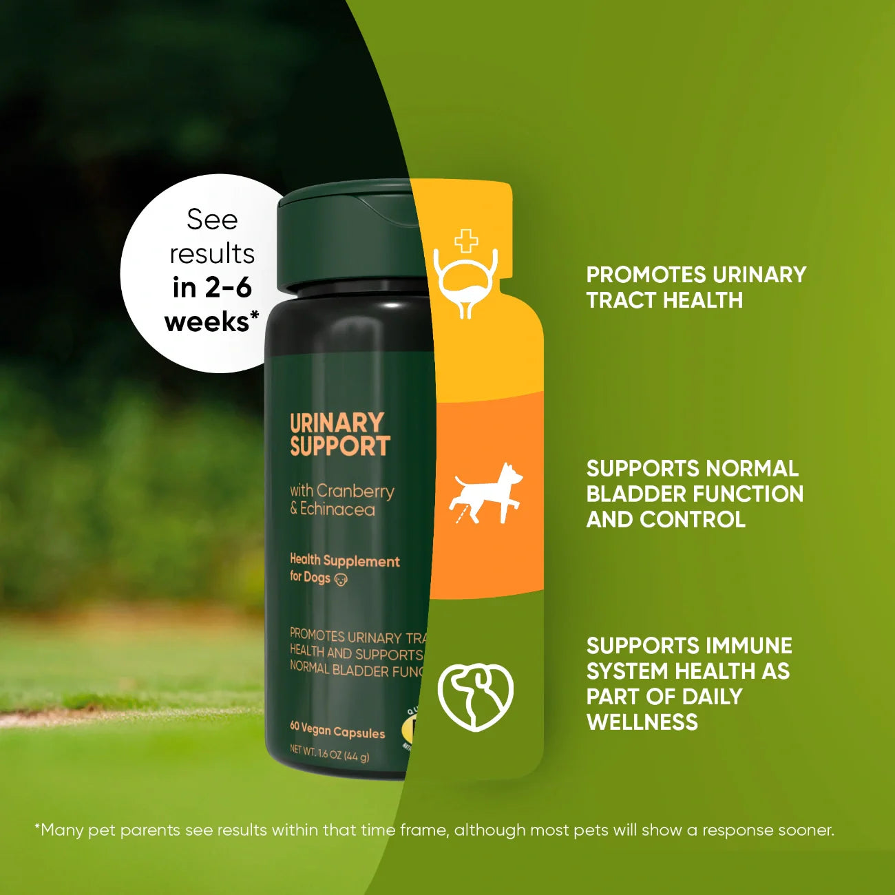 Urinary Support by Rooted Owl Pet Supplements