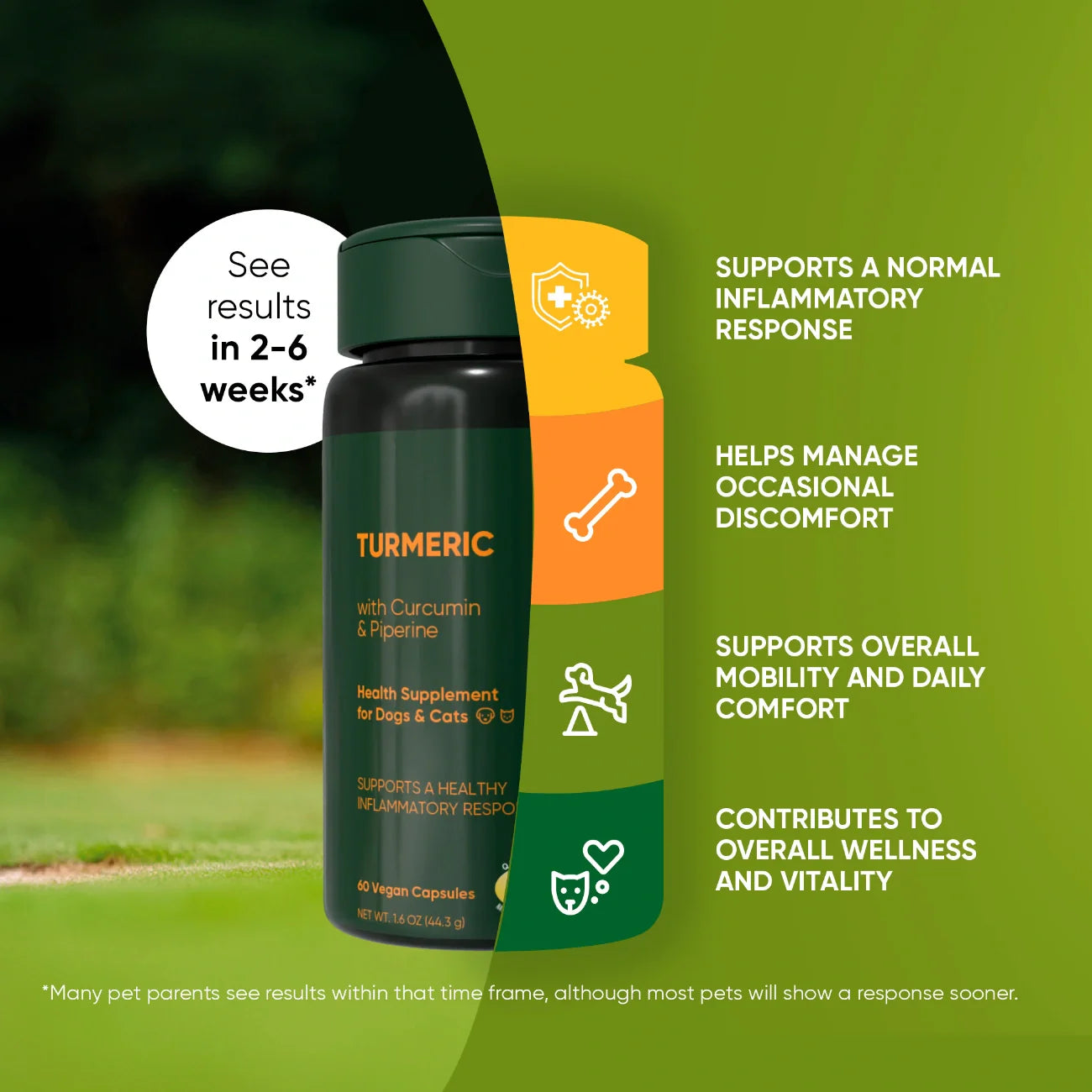 Turmeric by Rooted Owl Pet Supplements