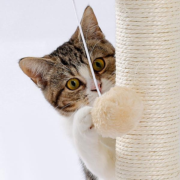 Indoor Cat Soft Scratching Board And Interactive Ball by VetsPetStore
