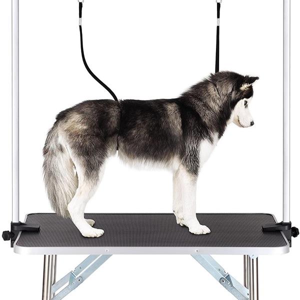 Pet Dog Grooming Table by Love My Pet
