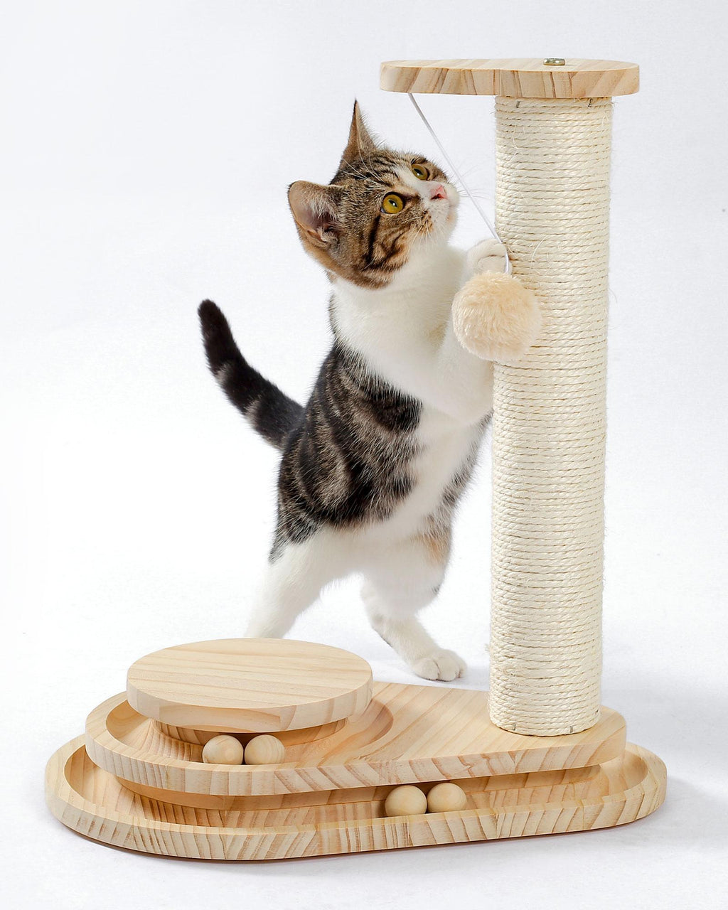 Indoor Cat Soft Scratching Board And Interactive Ball by VetsPetStore