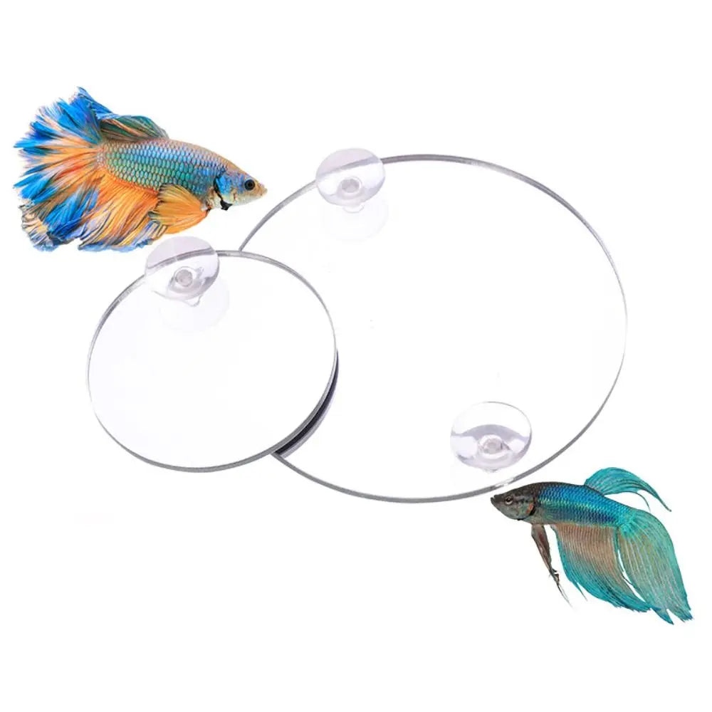 Betta Training Mirror Fish Tank Ornament