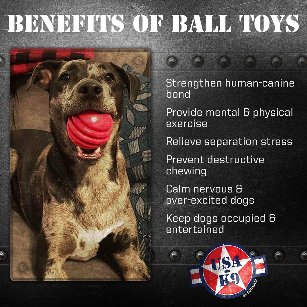 USA-K9 Stars and Stripes Rubber Dog Toy | K9 Handler Reward Toy | Red | USA Made by SodaPup/True Dogs, LLC