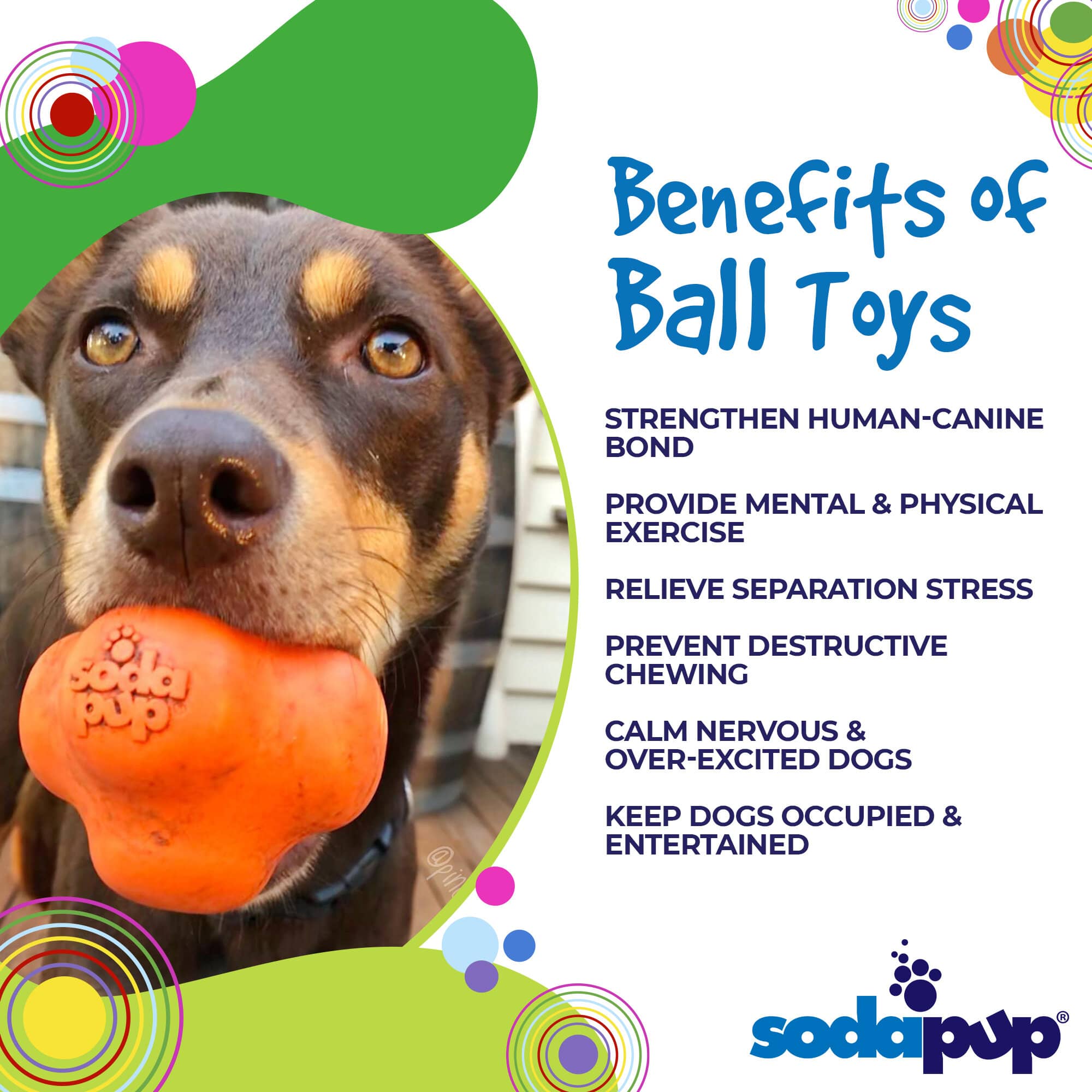 Crazy Bounce Rubber Dog Chew Toy for Power Chewers | Retrieving Ball | USA Made by SodaPup/True Dogs, LLC