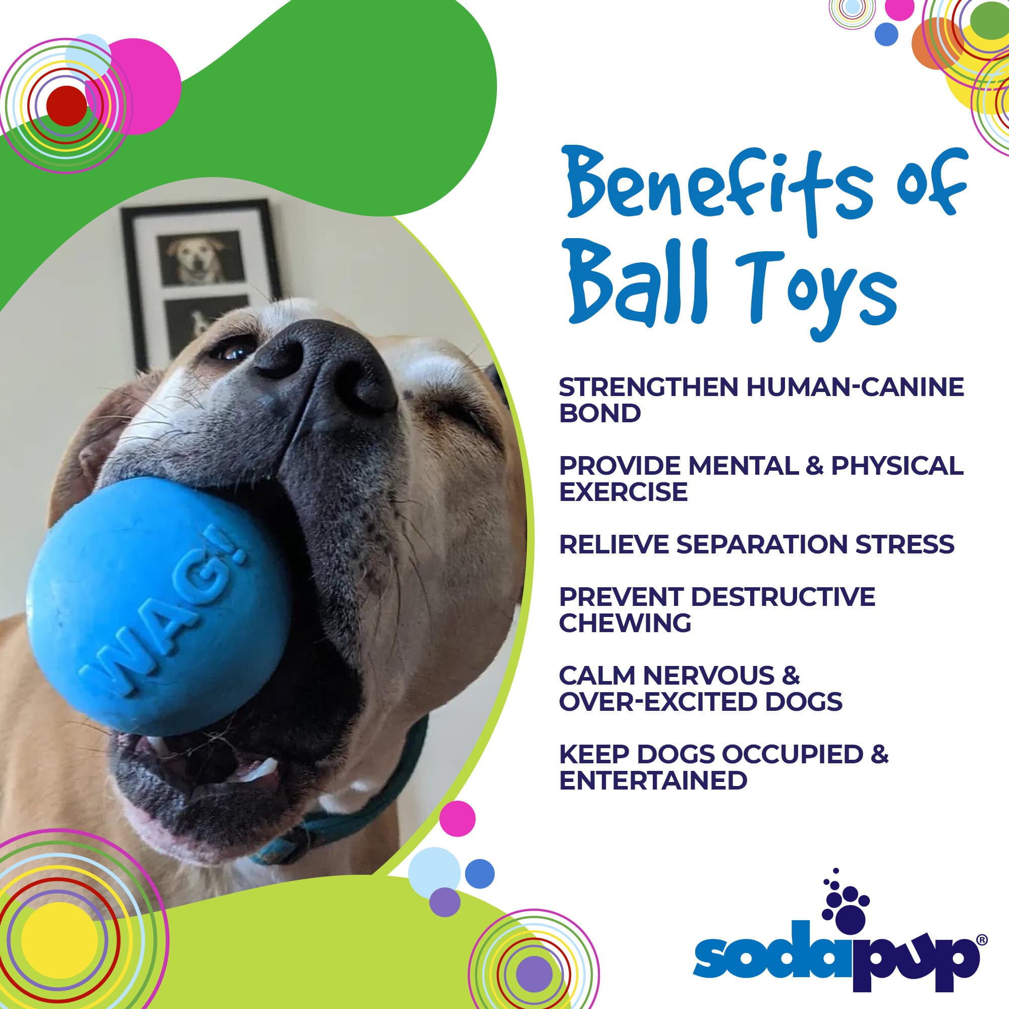 Wag Ball Rubber Dog Chew Toy for Heavy Chewers | Floating Fetch Toy | USA Made by SodaPup/True Dogs, LLC