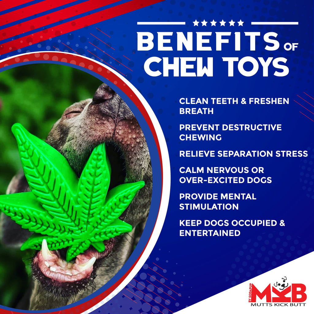 Colorado Maple Leaf Nylon Dog Chew Toy for Aggressive Chewers | USA Made by SodaPup/True Dogs, LLC