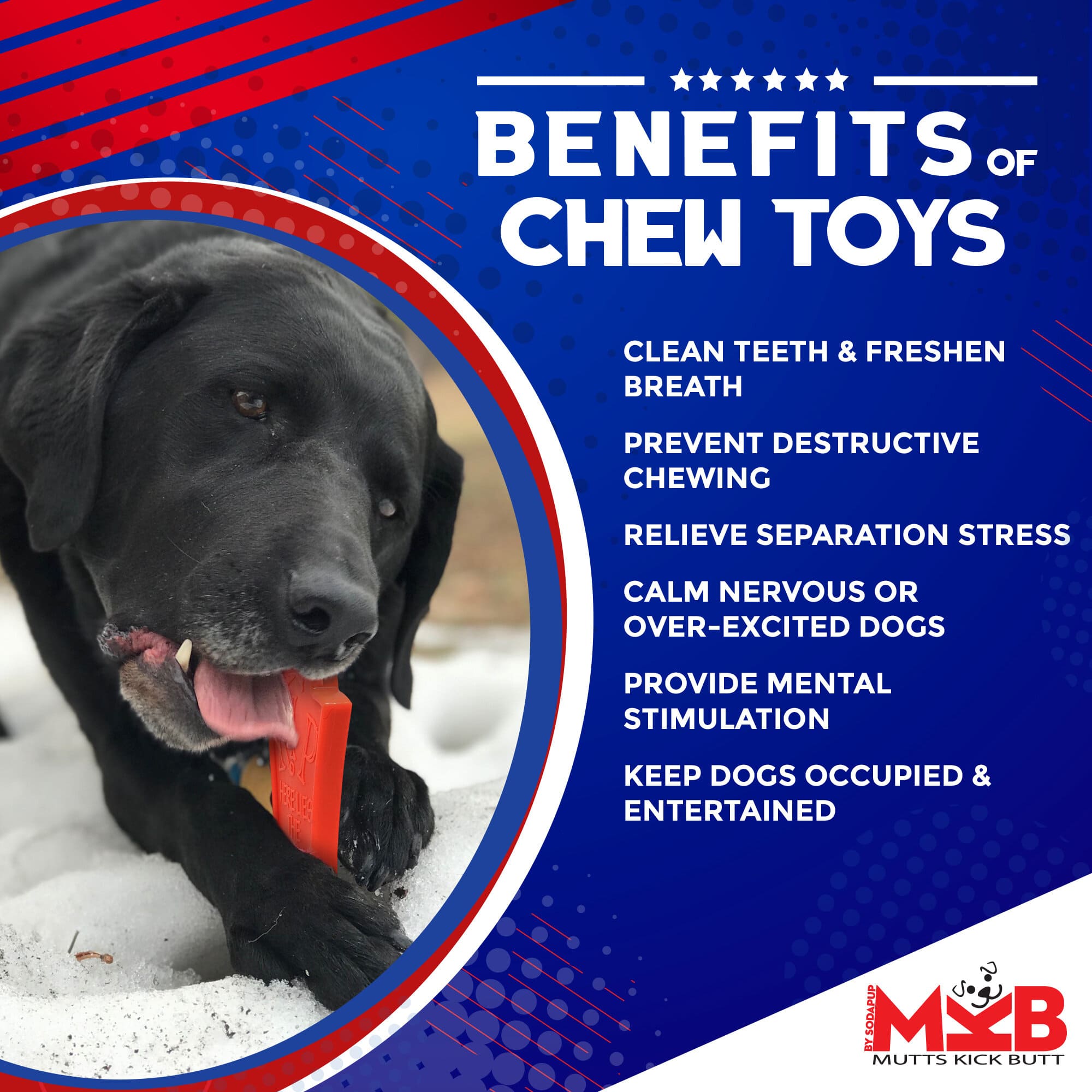 Headstone Ultra Durable Nylon Dog Chew Toy by SodaPup/True Dogs, LLC