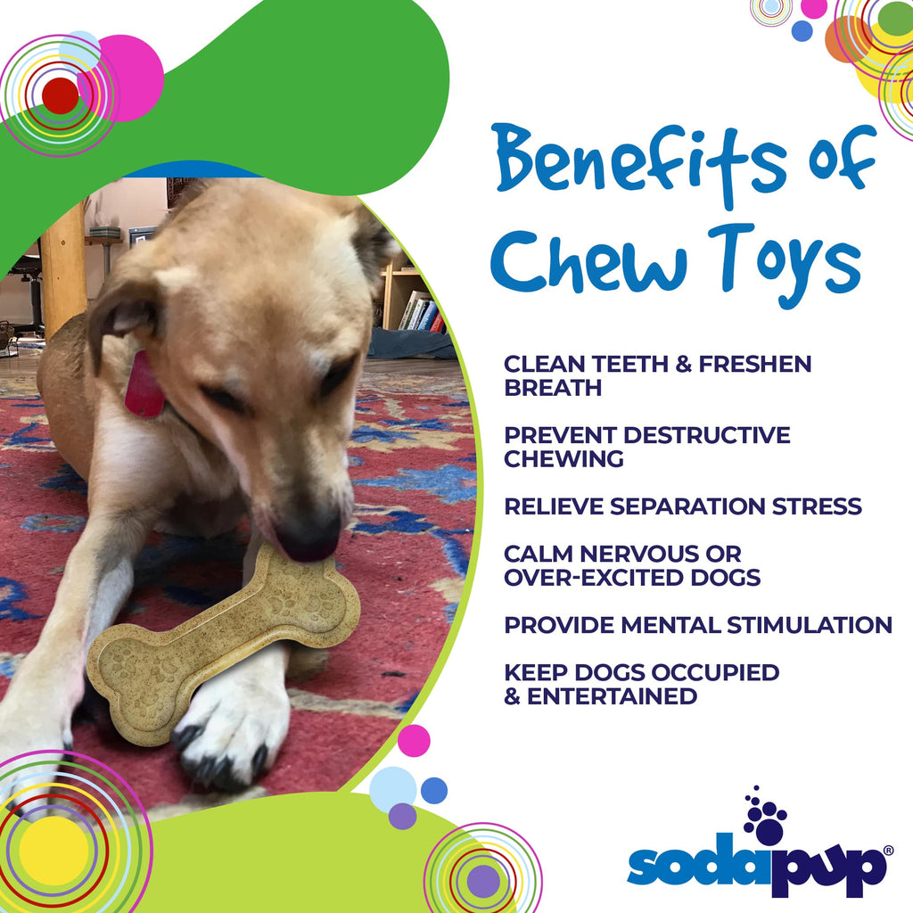 Bone eChew Ultra Durable Nylon Dog Chew Toy for Aggressive Chewers | USA Made by SodaPup/True Dogs, LLC