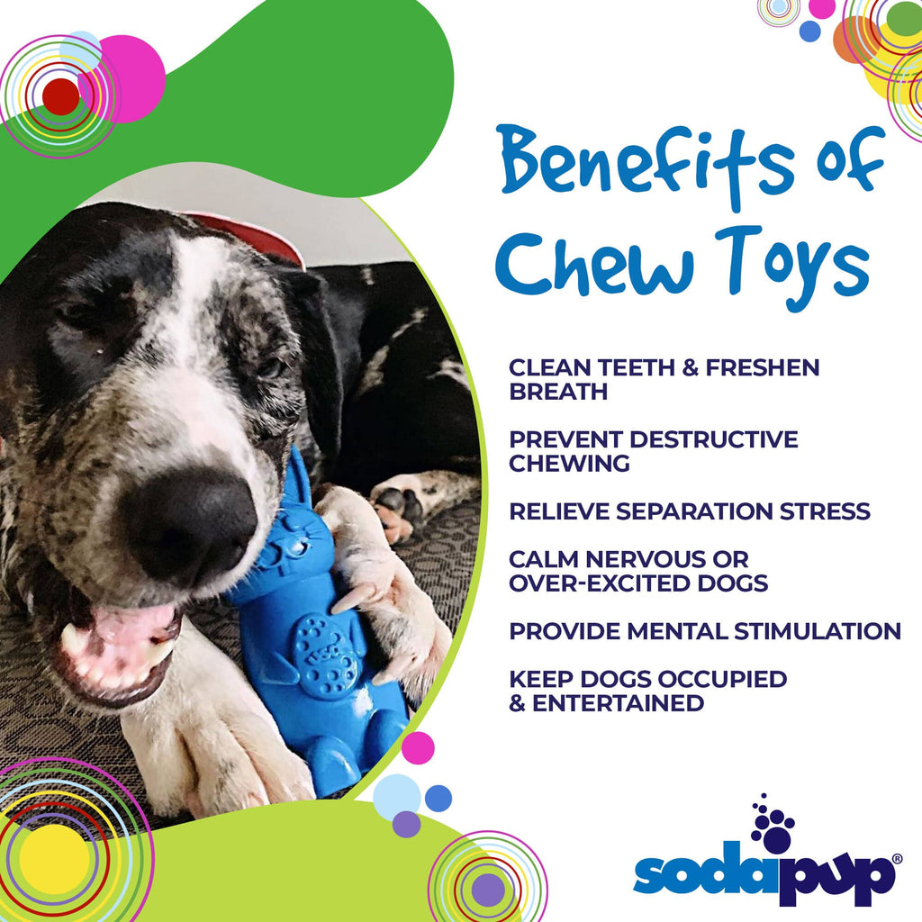 Bunny Nylon Chew Toy for Aggressive Chewers | Durable & USA Made by SodaPup/True Dogs, LLC
