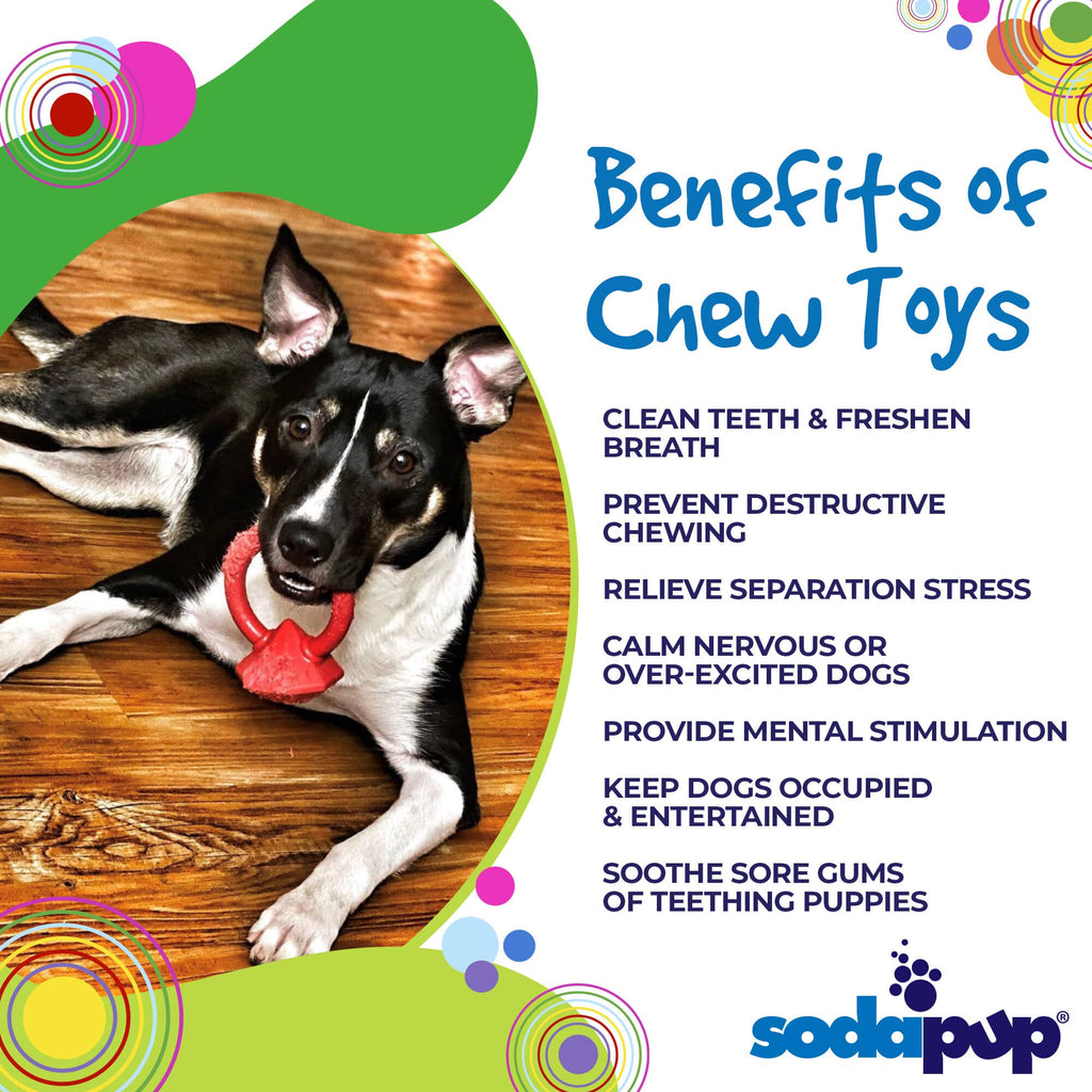 Diamond Ring Nylon Teething Ring for Puppies | Durable & USA Made by SodaPup/True Dogs, LLC